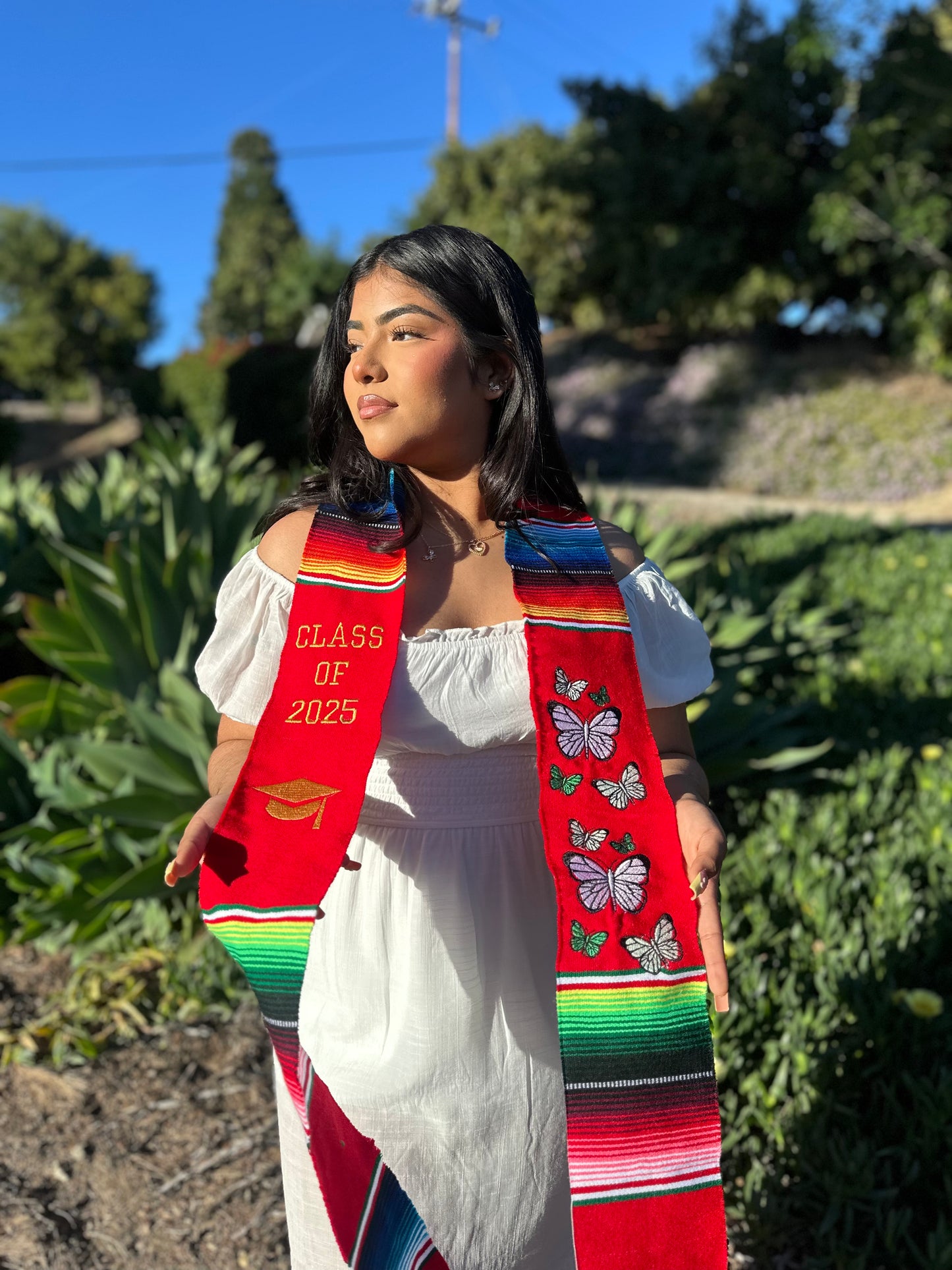 Red Butterfly Class of 2025 Graduation Stole